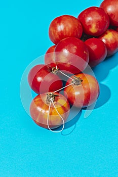 red tomatoes resting on a blue background