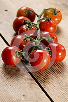 Red tomatoes on stem