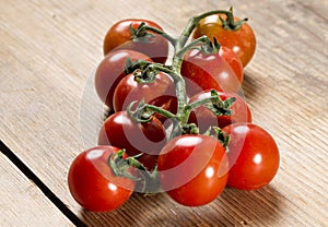 Red tomatoes on stem