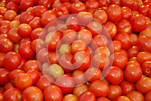 Red Tomatoes