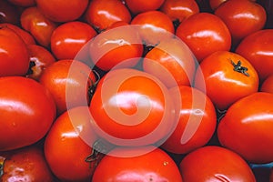 Red tomatoes.tray market agriculture of tomatoes,used as background,close up view