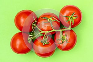 Red tomatoes on a twig on a green background