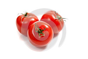 Red tomatoes on a vine