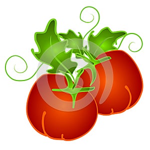 Red Tomatoes on Vine Clip Art