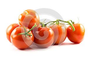 Red tomatoes on a white background