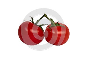 Red tomatoes on a white background