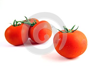 Tomates en blanco 