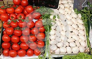 red tomatoes and white champignon mushrooms for sale in the mark