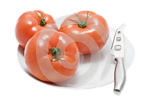 Red tomatoes on white plate