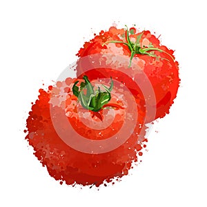Red tomatos illustration of blots photo