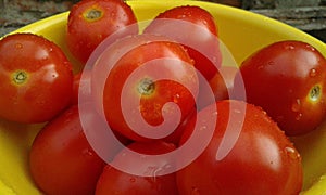 red tomatos