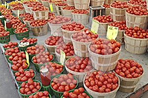 Red tomatos on sale by the baskets at the Jean-Talon Market in Montreal, Canada