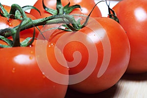 Red tomatos on a vine