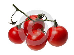 Red tomatto, isolated