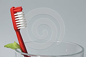 Red toothbrush in a glass cup