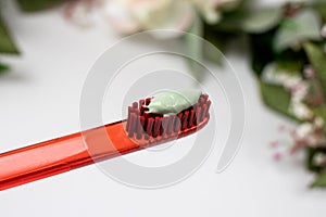 Red toothbrush with green natural toothpaste