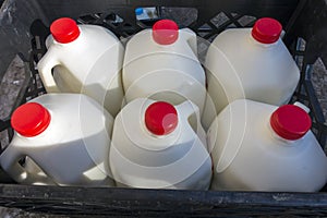 Market gallon of milk delivery