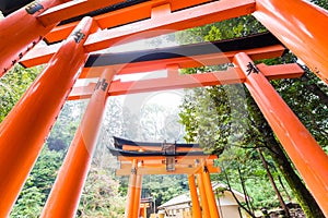 Red tori gate in Fushimi inari shrine