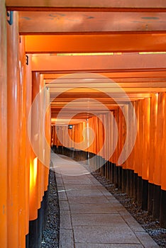Red tori gate at Fushimi Inari Shrine in Kyoto