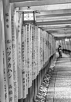 Red Tori Gate at Fushimi Inari Shrine in Kyoto, Japan