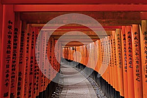 Red Tori Gate at Fushimi Inari Shrine in Kyoto, Japan photo
