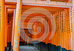 Red Tori Gate at Fushimi Inari Shrine Temple in Kyoto, Japan.