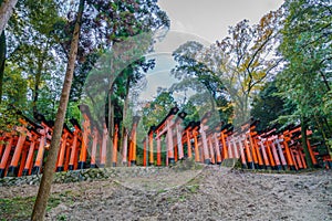 .Red Tori Gate at Fushimi Inari Shrine Temple in Kyoto, Japan