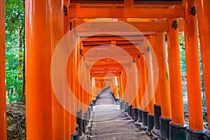 .Red Tori Gate at Fushimi Inari Shrine Temple in Kyoto, Japan