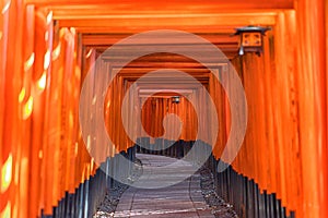 Red Tori Gate of Fushimi Inari Taisha Kiyomizu-dera Temple in Ky