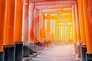Red Tori Gate of Fushimi Inari Taisha Kiyomizu-dera Temple in Ky