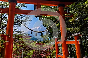 Red tori with Mount Fuji in the background at Chureito pagoda