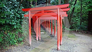 Red Tori row in Kyomizudera temple Matsue