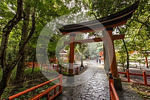 Red tori in Usa Jingu shrine, Oita, Japan photo