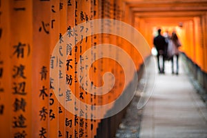 Red Torii of Fushimi Inari Shrine, Kyoto, Japan photo