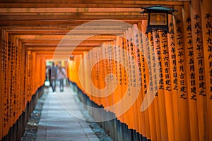 Red Torii of Fushimi Inari Shrine, Kyoto, Japan