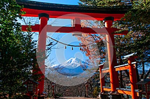 Red Torii gate of Chureito Pagoda Mount Fuji in centre under blue sky autumn. Shimoyoshida - Fujiyoshida