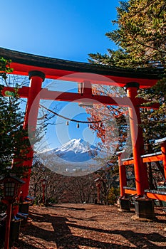 Red Torii gate of Chureito Pagoda Mount Fuji in centre under blue sky autumn. Shimoyoshida - Fujiyoshida