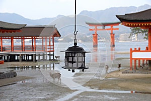 Red torii gate and copper candle lantern