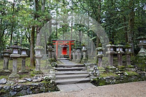 Red Torii and lanterns in Nara, Japan