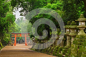Red torii gate and stone lanterns, Kasuga Taisha Shrine, Nara, Japan