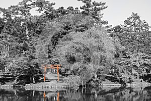 Red Torii gate at Todai-ji temple with black and white photo, Nara, Japan