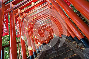 Red Torii gate tunnel at Hie Shrine, Akasaka, Tokyo