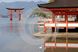 Red torii gate in the water