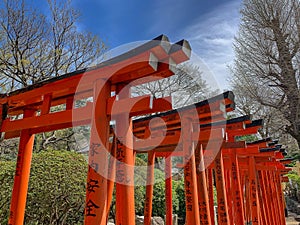 Tokyo, Japan - April 2019: Red Torii Gates at the Nezu Shrine with blue sky background