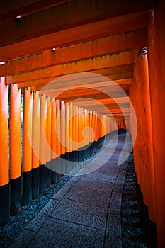 Red torii gates at Fushimi Inari shrine in Kyoto, Japan