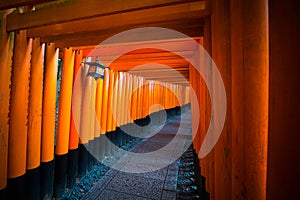 Red torii gates at Fushimi Inari shrine in Kyoto, Japan