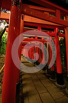 Red Torii gates in Fushimi Inari shrine in Kyoto, Japan