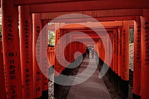 Red Torii gates in Fushimi Inari shrine in Kyoto, Japan