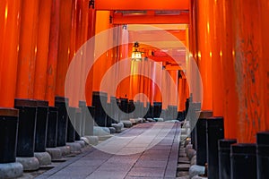 Red Torii gates in Fushimi Inari shrine in Kyoto, Japan