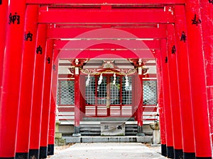 Red torii gates of Inari Jinja on the grounds of Bekku Oyamazumi shrine in Imabari